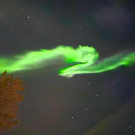 Innholdsrik Og Koselig Leilighet I Svolvaer Lofoten Exteriér fotografie