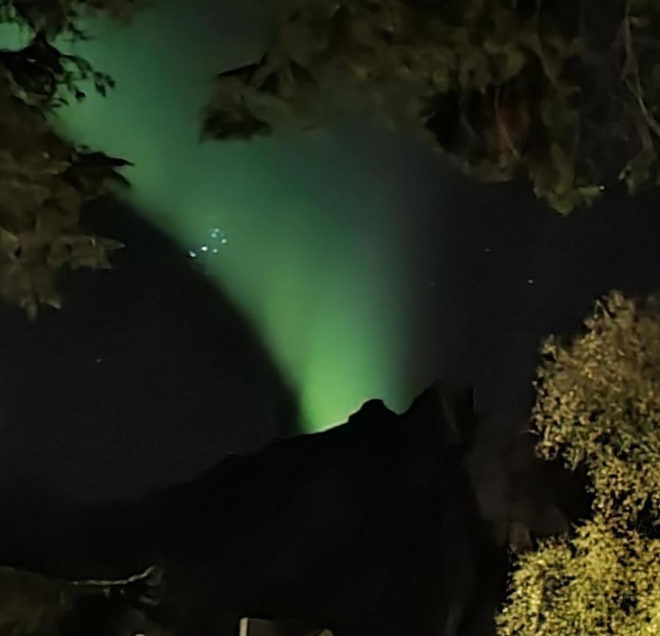 Innholdsrik Og Koselig Leilighet I Svolvaer Lofoten Exteriér fotografie
